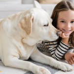 Criança com pet